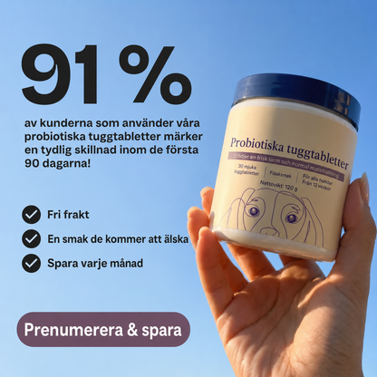 Dagligt Probiotiskt Tuggben – För Tarm - & Matsmältningshälsa