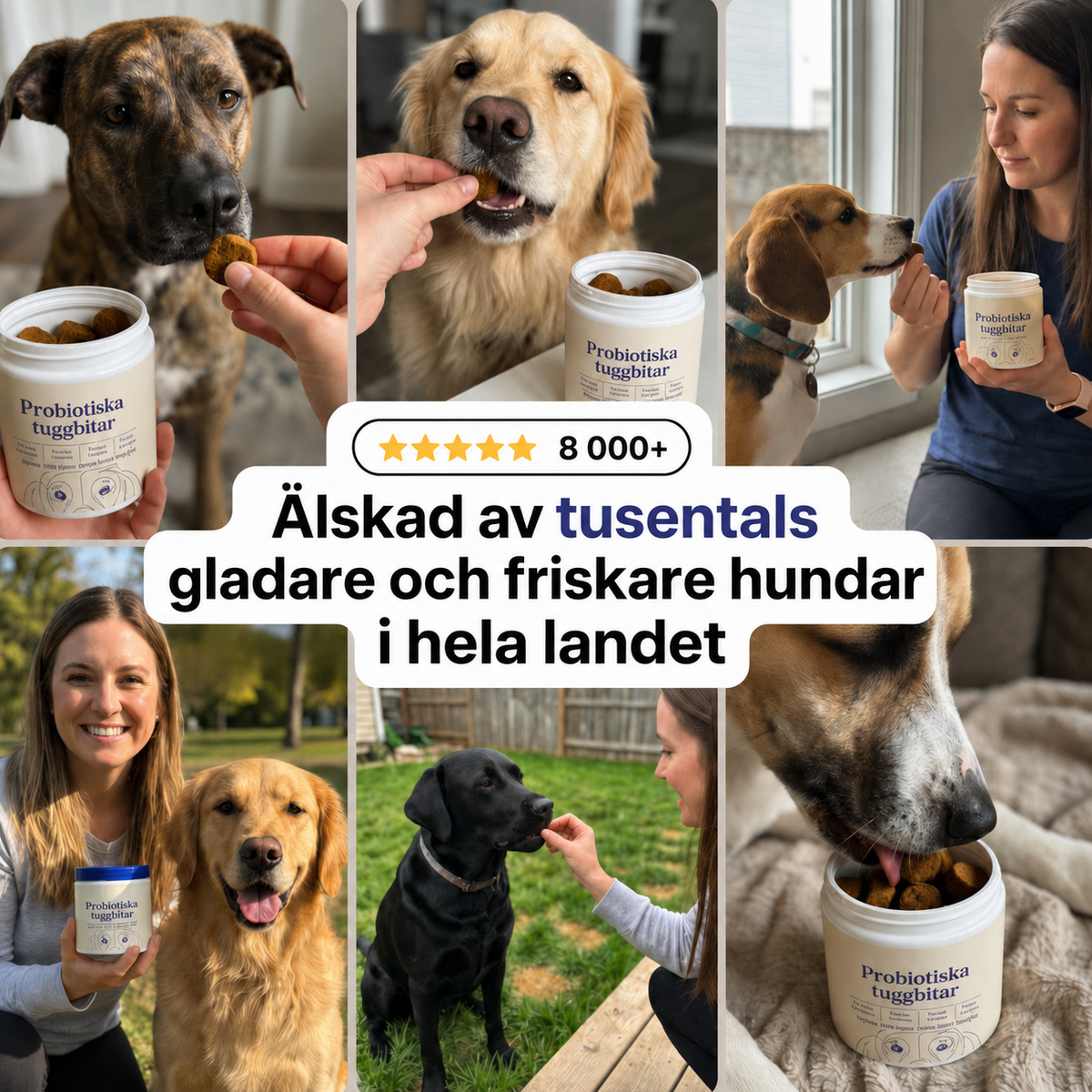 Dagligt Probiotiskt Tuggben – För Tarm - & Matsmältningshälsa